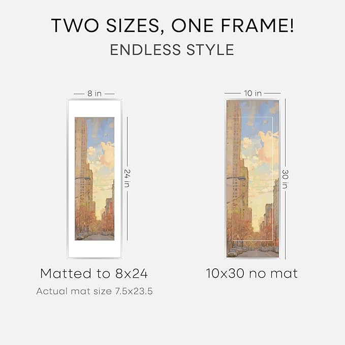 Homeforia 10 x 30 Picture Frame Silver, High End Metal 10x30 Poster Frames with Mat 8x24 Photo, 10 x 30 Silver Frames Matted to 8 x 24 Print, 30by10 Panoramic Frame, Tempered Glass, Wall Kit, Set of 1
