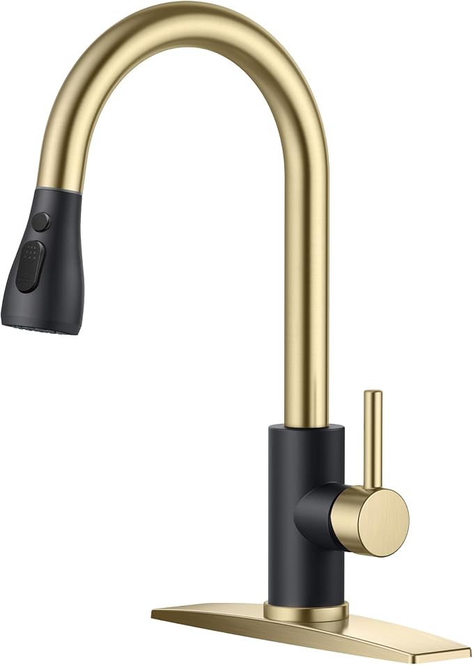 FORIOUS Kitchen Faucets Pull Down Sprayer, Stainless Steel, Single Handle by FORIOUS