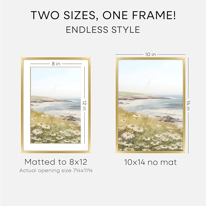 Homeforia 10x14 Picture Frame Gold, High End Metal 10x14 Poster Frames with Mat for 8x12, 10 x 14 Gold Frame Matted to 8 x 12 inch Photo, 10by14 Thin Hanging Frames, Tempered Glass, Wall Kit, Set of 3