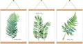 3 Pack Magnetic Poster Hanger Frame 20 Inch Pine Color,20x24 20x30 20x28 Poster Frame Wood Magnet Frames Hangers for Photos Pictures Prints Maps Scrolls Canvas Artwork Diamond Art Painting