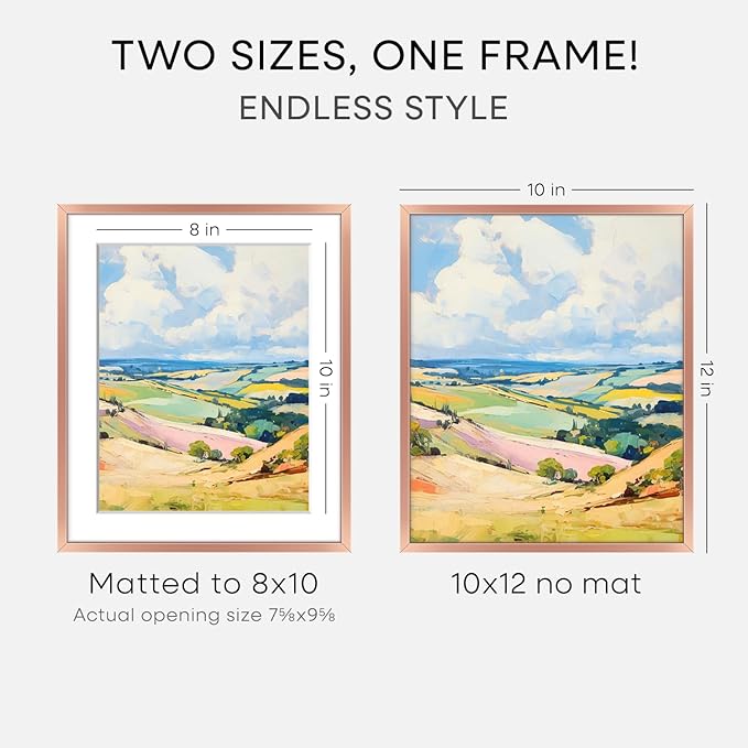 Homeforia 10x12 Picture Frame Rose Gold, High End Metal 10x12 Wall Hanging Frame with Mat 8x10, 10 x 12 Poster Frame Matted to 8 x 10 inch Photo, 10by12 Thin Frames, Tempered Glass, Wall Kit, Set of 1
