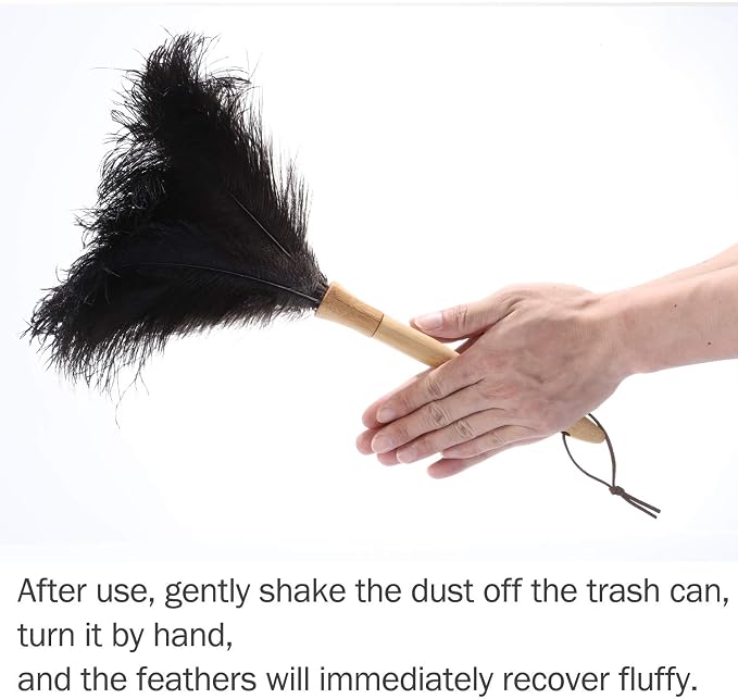 DDZMZ Ostrich Feather Duster for Cleaning - Image 3