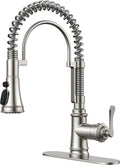 FORIOUS Kitchen Faucet with Pull Down Sprayer, Atique Style, Brushed Nickel | by FORIOUS