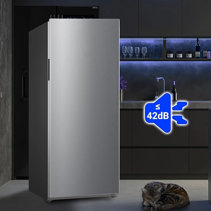 Upright Freezer 21 cu.ft, Freezer Upright Stainless Steel, Frost Free Convertible Refrigerator Freezer for Garage, Kitchen, Home Use(Right Hinge)