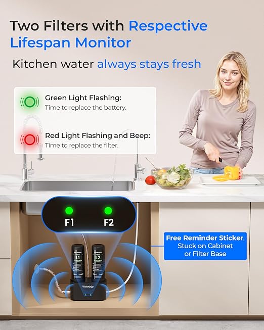 Waterdrop DLG-L Under Sink Water Filter, Life Indicator, Dual-Outlet Filtered - Image 5