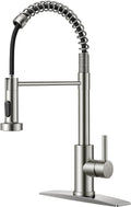 FORIOUS Kitchen Faucet Pull Down Sprayer, Classic High Arc, Brushed Nickel | by FORIOUS