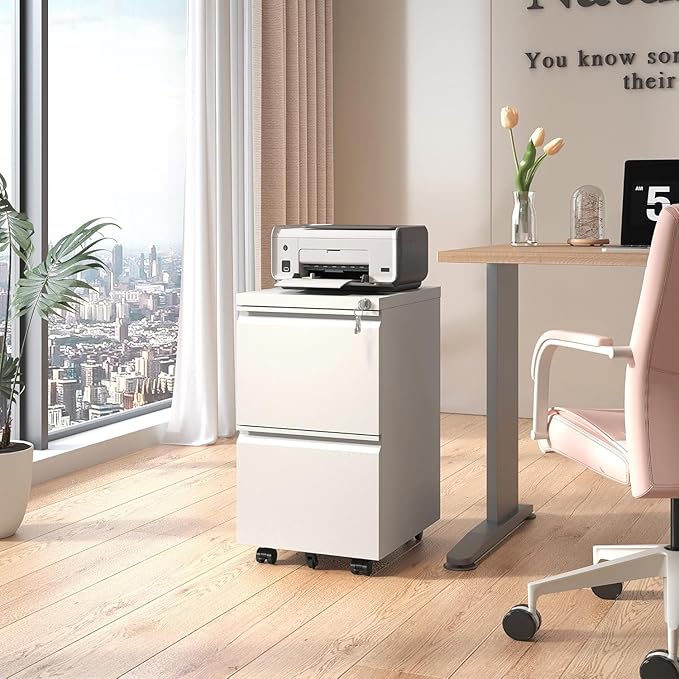 Fully Assembled 2 Drawer File Cabinet, Locking Full Steel Filing Cabinet, Quiet Slides, Anti-Tipping Wheels, Fits A4/Letter/Legal, for Home & Small Office, Matte White