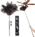 Extendable Ostrich Feather Duster, Natural Ostrich Feathers Long Handle Duster by Unknown