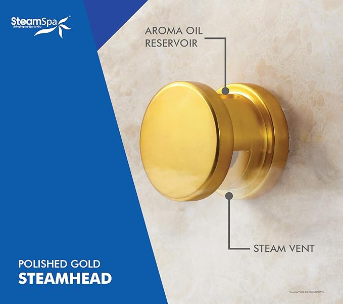 STEAMSPA 10.5kW Steam Sauna Generator Sentry Series 240V Steam Generator with Touch Screen, Steamhead, Built-in Steam Shower Auto Drain, ACU Quickstart Steam Bath Generator (Gold)