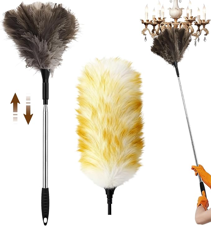 Extendable Ostrich Feather Duster by Unknown