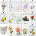 14 Packs Scented Sachets Bags fit Drawers and Closets 14 Scent Gift Box by LIFFLY