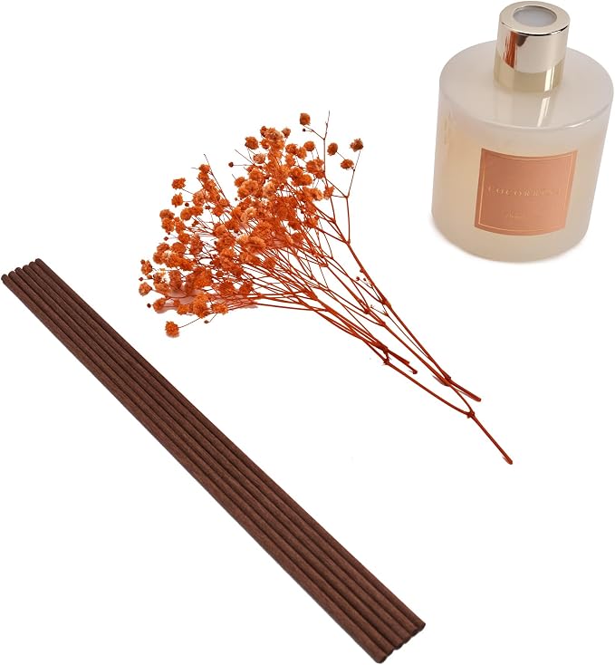 Premium Reed Diffuser Set with Preserved Baby's Breath & Cotton Stick Coconut - Image 6