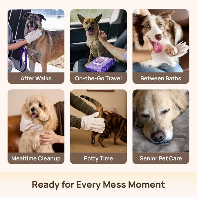 HICC PET Dog Wipes for Dogs & Cats, Glove Design, Head-to-Tail Grooming - Image 5