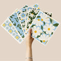 RECYCO Swedish Dishcloths for Kitchen | 5 Pack Daisy Dreams Washable Dish Rags by RECYCOHOMECOLLECTION