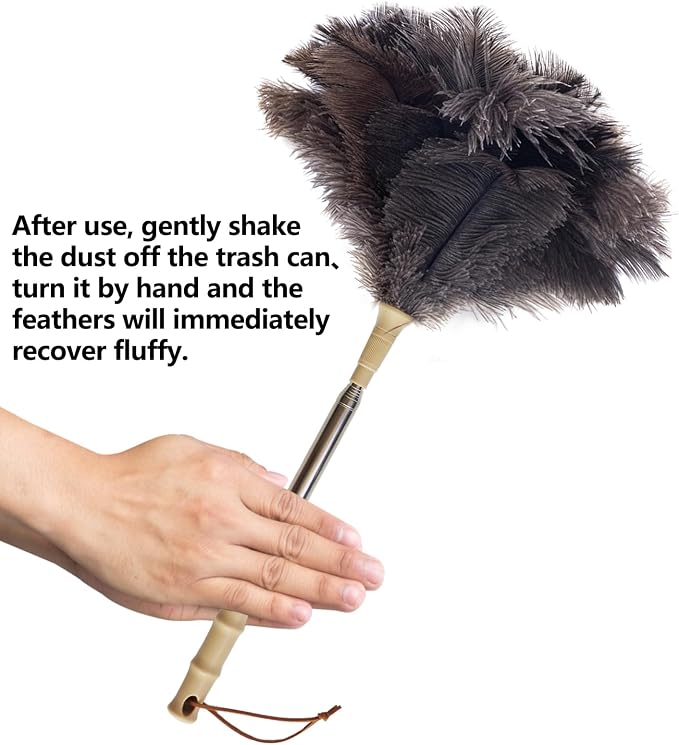 Aldwin Ostrich Feather Duster, and Car Interior - Image 5