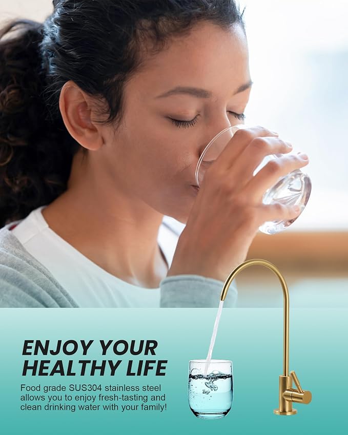 Kitchen Faucet and Water Filter Faucet: Brushed Gold Kitchen Sink Faucet - Image 4