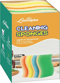 LAUNDRYLUX Scrub Sponge, 4 Pack Dual-Sided Temperature-Responsive Scrubber | by LAUNDRYLUX