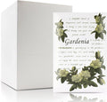 Fragrance Scented Sachet for Drawers and Closets Gardenia 12pcs by FeelFragrance
