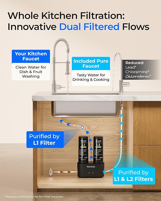 Waterdrop DLG-L Under Sink Water Filter, Life Indicator, Dual-Outlet Filtered - Image 2