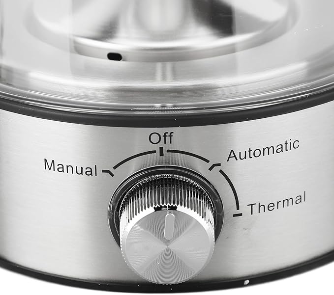 Glass Electric Tea Kettle, Unique Steam Spraying Function, Premium Heat Preservation for Brewing Tea