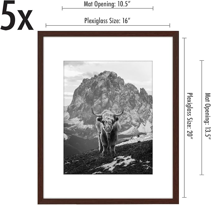 Americanflat 16x20 Picture Frame with Polished Plexiglass - Set of 5 - Use as 11x14 Frame with Mat or Display 16x20 Photo Without Mat - Galleria Collection - Picture Frames for Wall Display - Mahogany