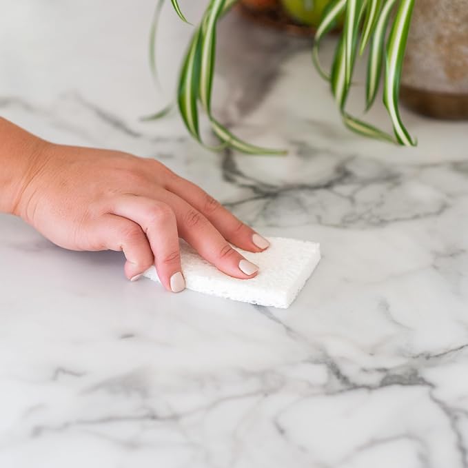 Full Circle 100% Plant-Based Cellulose Sponges, Natural Sponge - Image 4