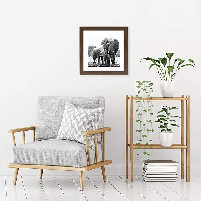 Americanflat 11x11 Picture Frame with Shatter-Resistant Glass - Use as 8x8 Frame with Mat or Display 11x11 Photo Without Mat - Signature Collection - Square Frames for Wall Display - Walnut