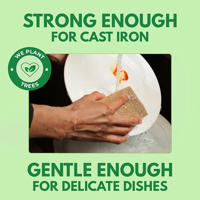 AIRNEX Natural Kitchen Sponges Pack of 18 - Image 3