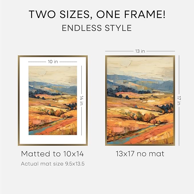 Homeforia 13x17 Picture Frame Bronze, High End Metal 13x17 Brass Poster Frames with Mat 10x14 Photo, 13 x 17 Frame Matted to 10 by 14 inch Print, 17by13 Thin Frames, Tempered Glass, Wall Kit, Set of 2