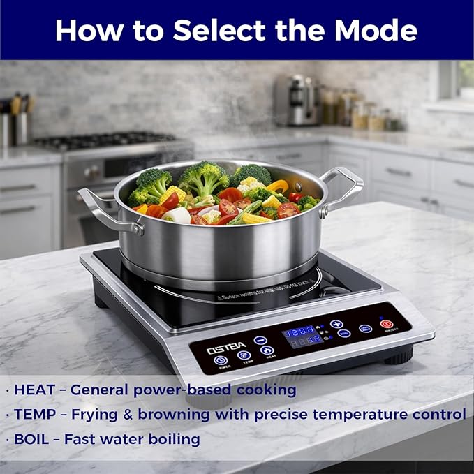 OSTBA 1800W Commercial Induction Cooktop, 10" Heating Coil Countertop Induction Burner, 10 Power Levels & 120–460°F Temperature Control, 12H Timer, Keep Warm, ETL Certified