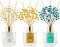 Reed Diffuser Set of 3, Clean Cotton White Jasmine White Tea Oil Reed Diffusers by Airkeep