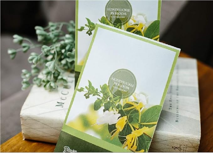 Honeysuckle Scented Sachets Pack of 6, Spring and Summer - Image 5