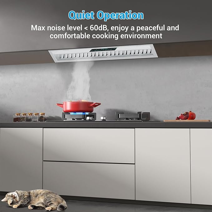 Range Hood 30 Inch Insert, 950 CFM Kitchen Hood with 4-Speed Exhaust Fan,Smart Remote/Gesture/Touch Control, Stainless Steel Vent Hood with 3W Dimmable LED Lights,Ducted/Ductless