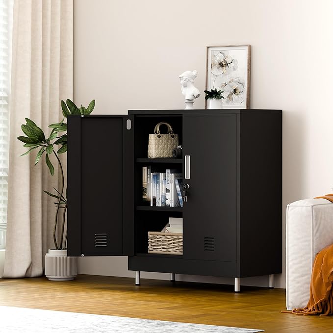 Metal Storage Cabinet with Locking Doors and 2 Adjustable Shelves, Lockable Storage Cabinet for Home Office Garage Pantry Living Room (Black)
