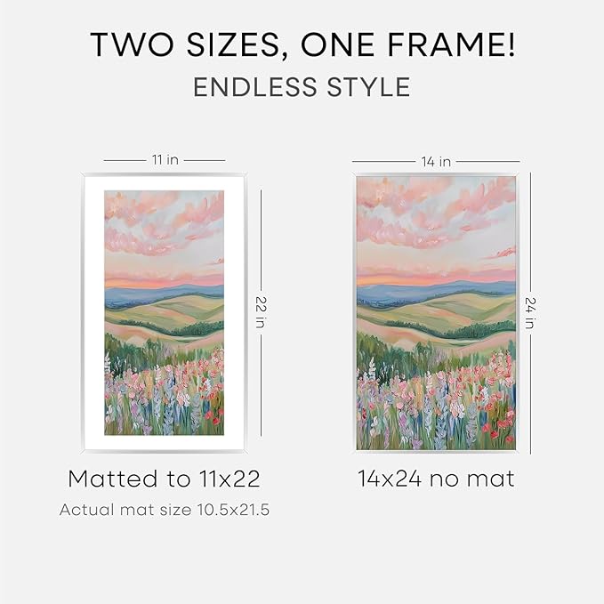 Homeforia 14x24 Picture Frame Silver, High End Metal 14x24 Frames with Mat 11x22 for Photo, 14 x 24 Silver Poster Frame Matted to 11 x 22 Print, 24x14 Hanging Frame, Tempered Glass, Wall Kit, Set of 2