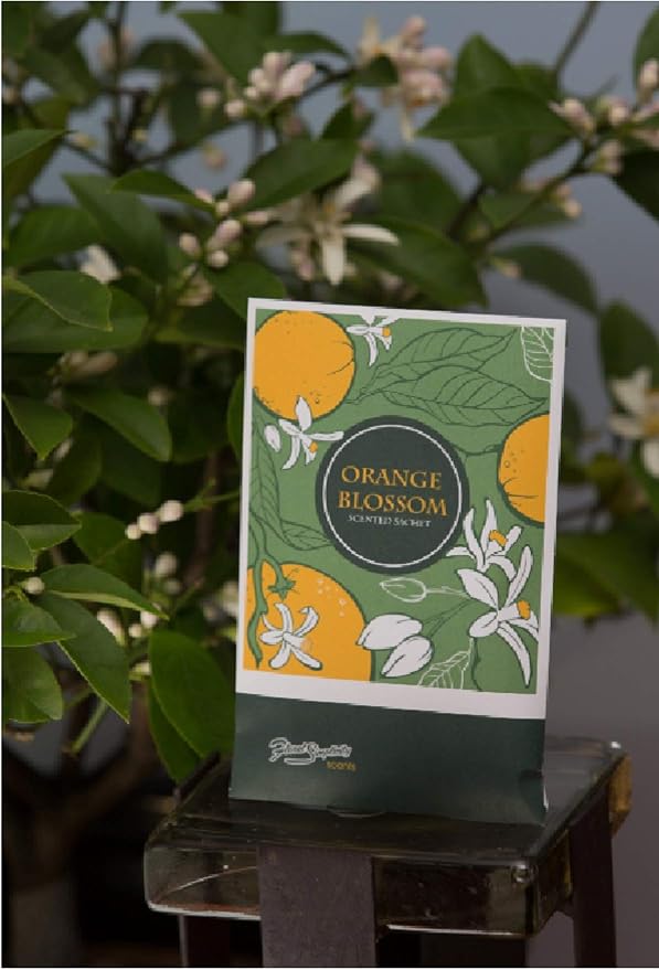 Orange Blossom Scented Sachets Pack of 6, Spring and Summer - Image 6