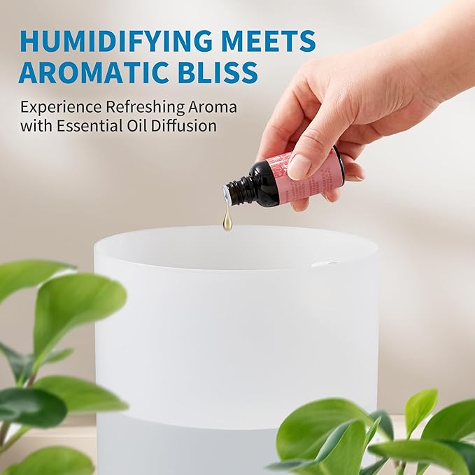Clarston Humidifiers for Bedroom, 2.5L Cool Mist Humidifier with Essential Oils Diffuser and Nightlight, Top Fill Humidifiers for Home Large Room, Timer, Auto Shut-off, 25H Runtime
