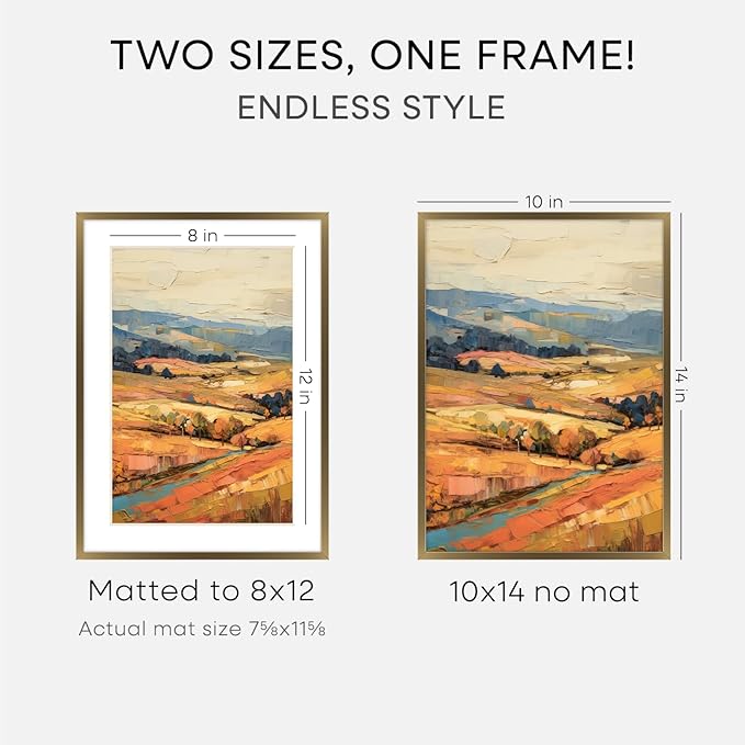 Homeforia 10x14 Bronze Picture Frame, High End Metal 10x14 Brass Frame with Mat 8x12, 10 x 14 Poster Frames Matted to 8 x 12 inch Photo, 10 by 14 Bronze Thin Frames, Tempered Glass, Wall Kit, Set of 2