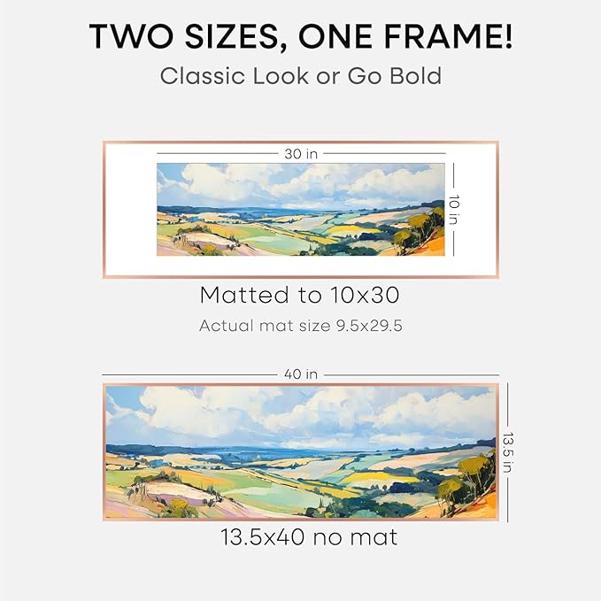 Homeforia 13.5x40 Rose Gold Picture Frame, High End Metal 13.5x40 Panoramic Poster Frames with Mat 10x30 Photo, 13.5 x 40 Frame Matted to 10 x 30 Art, 40x13.5 Frame, Tempered Glass, Wall Kit, Set of 1