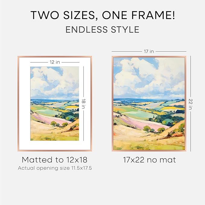 Homeforia 17x22 Picture Frame Rose Gold, High End Metal 17x22 Poster Frames with Mat 12x18 Photo, 17 x 22 Rose Gold Frame Matted to 12 by 18 Print, 22x17 Thin Frame, Tempered Glass, Wall Kit, Set of 1