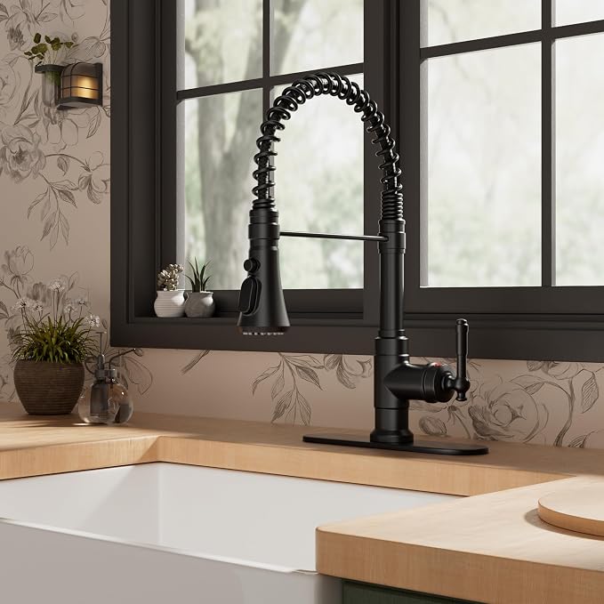 FORIOUS Vintage Black Kitchen Faucet - Image 2