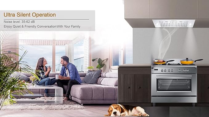 MCBON Range Hood Insert 30 Inch, 700 CFM Range Hood Insert, Ducted/Ductless Convertible Insert Range Hood, Vent Hood Insert, Stainless Steel Hood Range Insert, Built In Range Hood 30 Inch, TE77-30