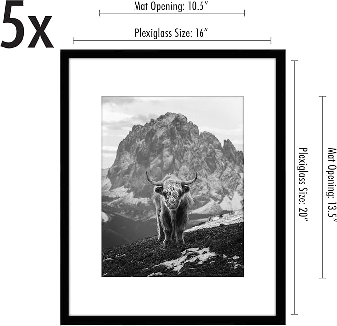 Americanflat 16x20 Picture Frame with Polished Plexiglass - Set of 5 - Use as 11x14 Frame with Mat or Display 16x20 Photo Without Mat - Galleria Collection - Picture Frames for Wall Display - Black
