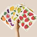 RECYCO Swedish Dishcloths for Kitchen | 5 Pack Fruit Grove Washable Dish Rags | by RECYCOHOMECOLLECTION
