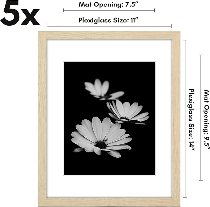 Americanflat 11x14 Picture Frame with Polished Plexiglass - Set of 5 - Use as 8x10 Frame with Mat or Display 11x14 Photo Without Mat - Galleria Collection - Picture Frames for Wall - Natural Oak