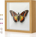 8x8 Shadow Box Display Case Picture Frame with Soft Linen Back,Large Wood Color Shadow Box 8x8 for Flowers Medal Display Case Jersey pet Graduation Memorabilia Baby Ltems Crafts Photos