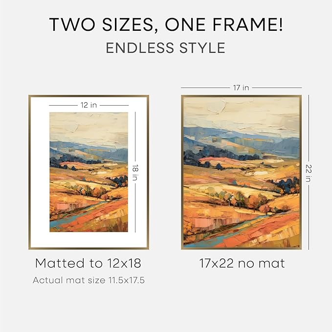 Homeforia 17x22 Picture Frame Bronze, High End Metal 17x22 Brass Poster Frames with Mat 12x18 Photo, 17 x 22 Frame Matted to 12 by 18 inch Print, 22by17 Thin Frames, Tempered Glass, Wall Kit, Set of 2