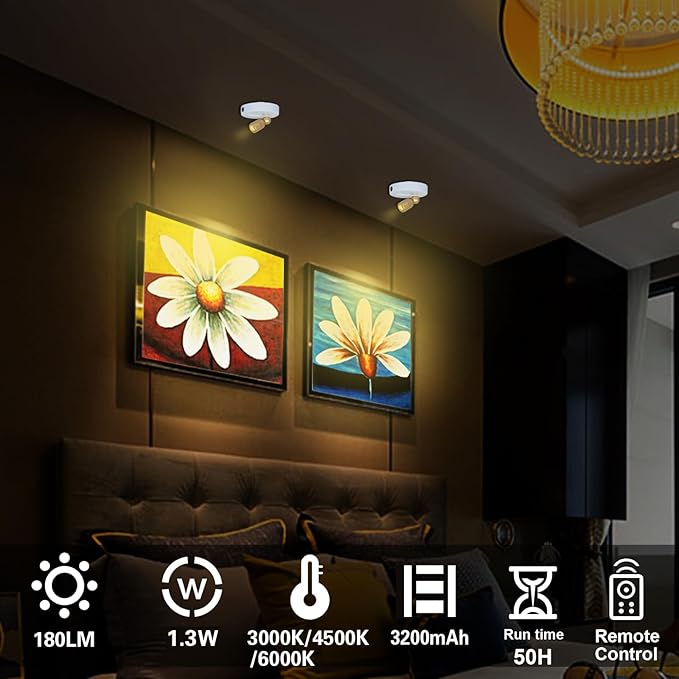 Rechargeable LED Spotlight, Indoor Battery Operated Spotlights with Remote, 3 Lighting Modes Up Lights for Plants, Dimmable Timer Picture Lights for Wall Art Painting Tree Spotlight
