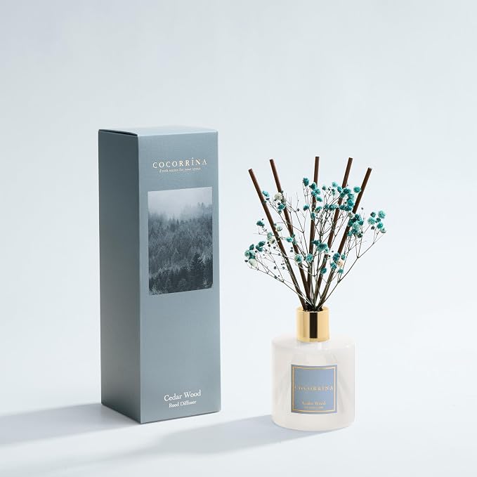 Reed Diffuser - Cedar Wood 6.7 fl oz Reed Diffuser - Image 2