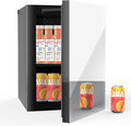 Stopasd Beverage Refrigerator Cooler, 0.9 Cu.Ft/24 Can Drink Fridge with Adjustable Shelves & Mirror Door for Temp Control for Drinks, Skincare, Soda, Beer, Wine - Home, Office, Dorm